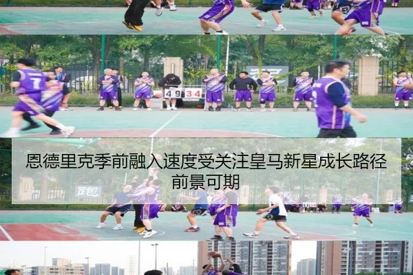 en-de-li-ke-ji-qian-rong-ru-su-du-shou-guan-zhu-huang-ma-xin-xing-cheng-zhang-lu-jing-qian-jing-ke-qi-2-494.jpg