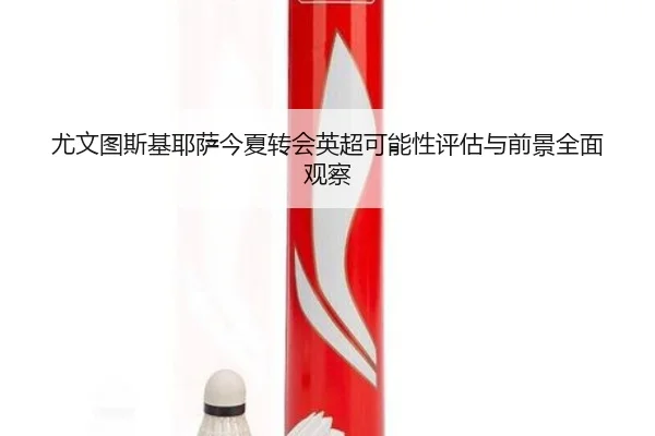 尤文图斯基耶萨今夏转会英超可能性评估与前景全面观察